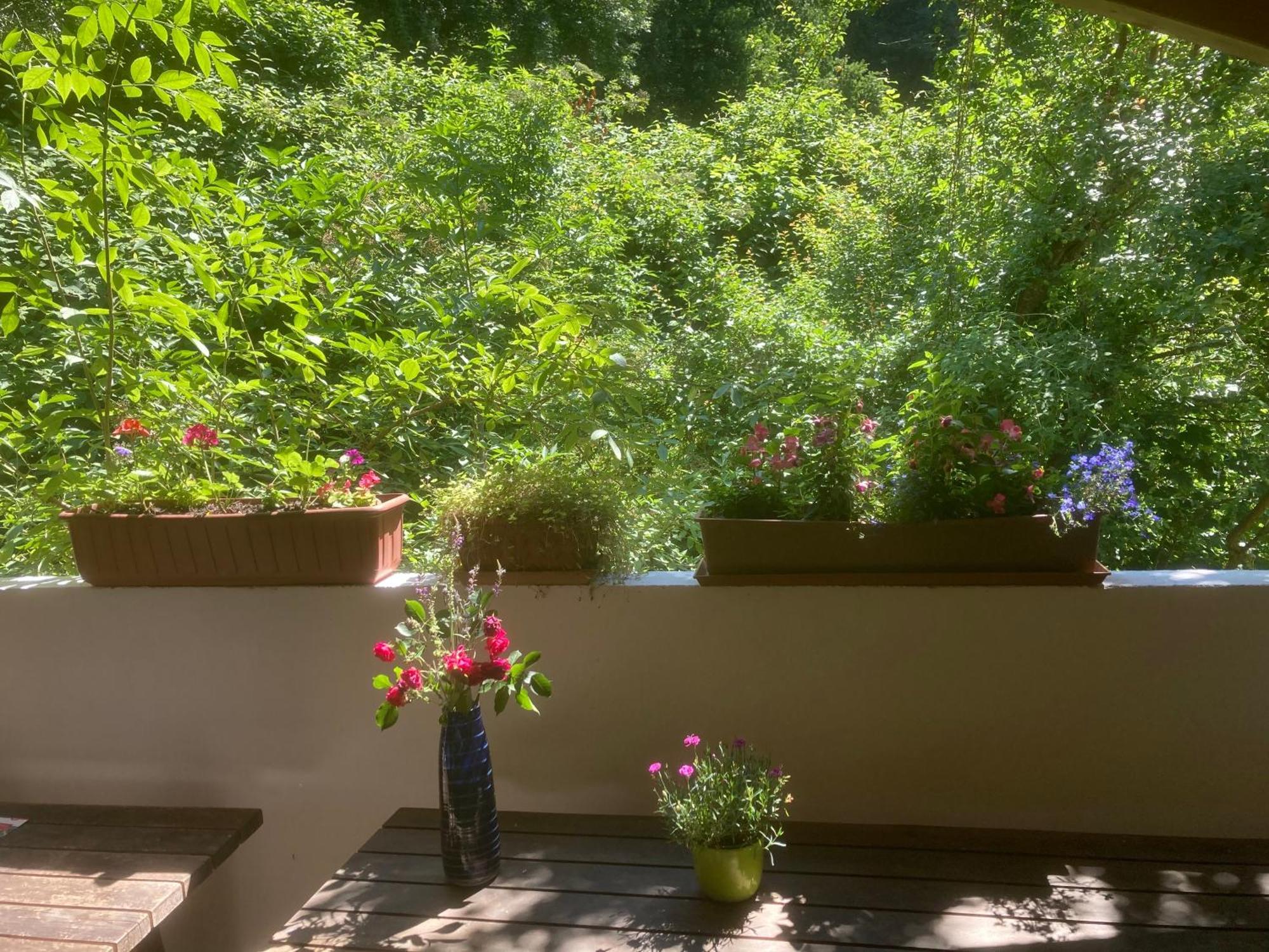 Pension Zur Freiheit Passau Extérieur photo
